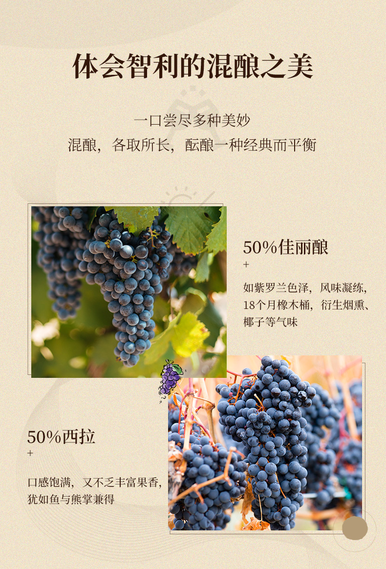 海之舞详情_07.jpg